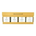 Quartetto di sale in fiocchi aromatizzato
