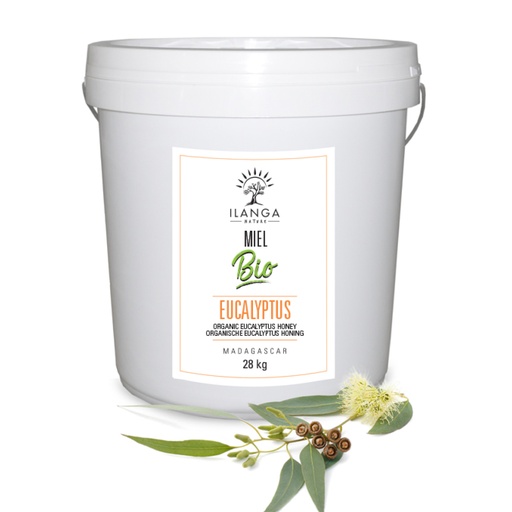 [5903193] Miel d'Eucalyptus 28kg - BIO