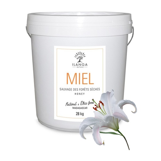 [5901731] Miel de Forêts Sèches 28kg
