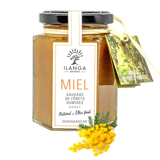 [5900062] Regenwoud Honing 250g